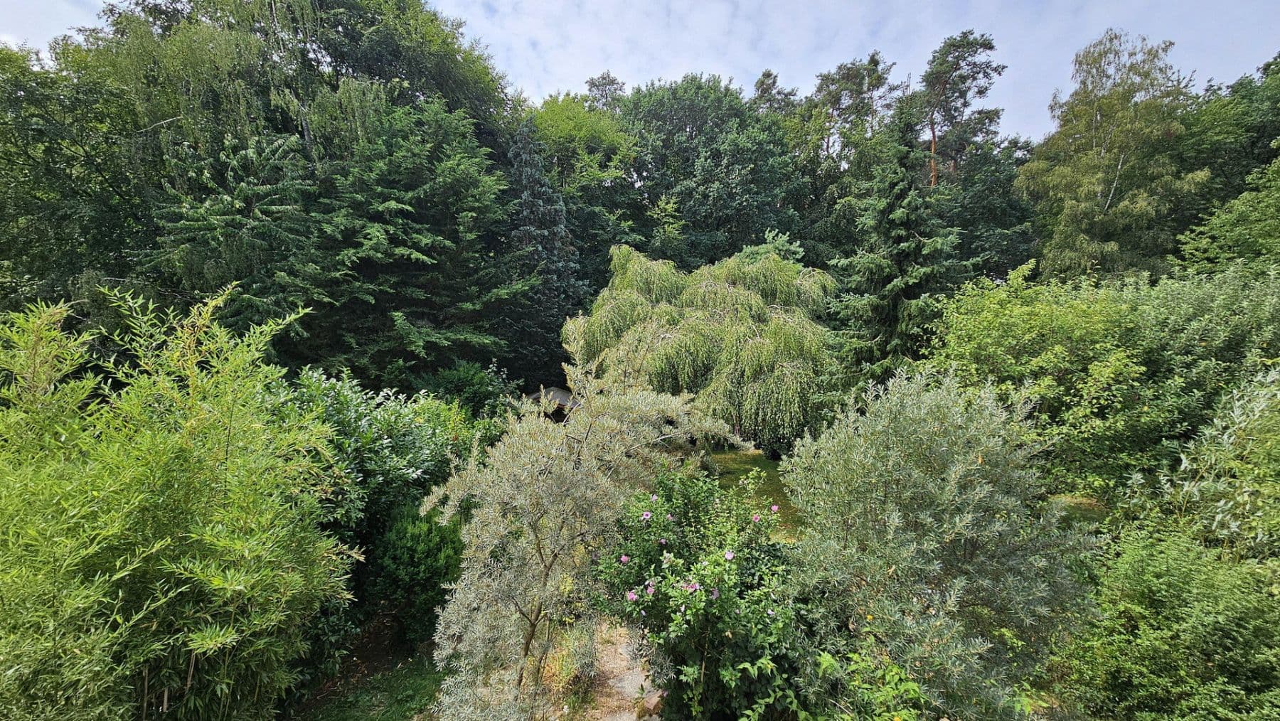 Predaj domu 130 m², pozemok 255 m², Im Buchwald 39, Heusenstamm, Hesensko Predaj domu 130 m², pozemok 255 m², Im Buchwald 39, Heusenstamm, Hesensko