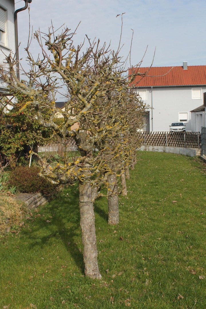 Predaj domu 223 m², pozemok 757 m², Wilburgstetten, Bavorsko Predaj domu 223 m², pozemok 757 m², Wilburgstetten, Bavorsko