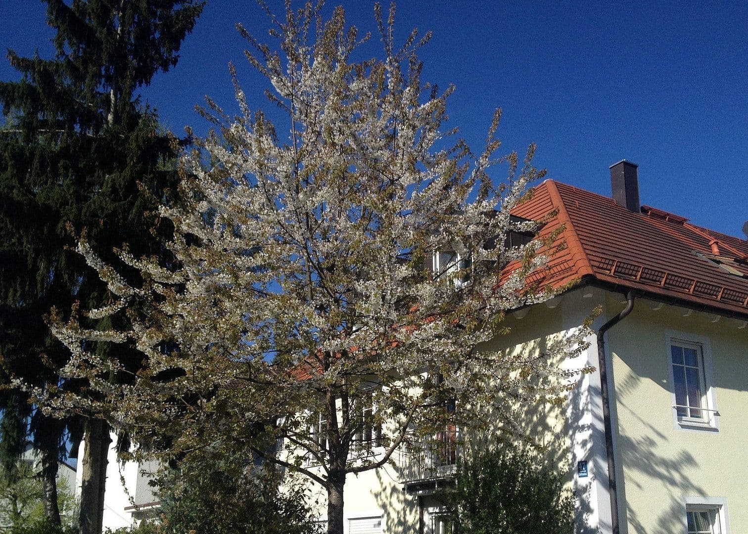 Prenájom bytu 3-izbový 90 m², München, Bavorsko Prenájom bytu 3-izbový 90 m², München, Bavorsko