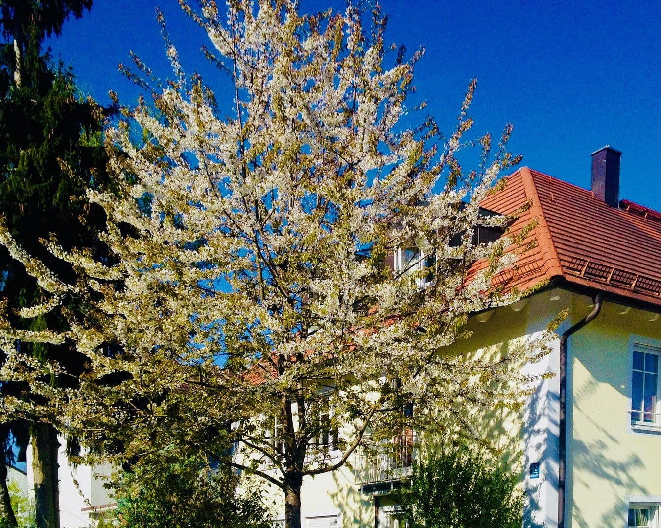 Prenájom bytu 3-izbový 90 m², München, Bavorsko Prenájom bytu 3-izbový 90 m², München, Bavorsko