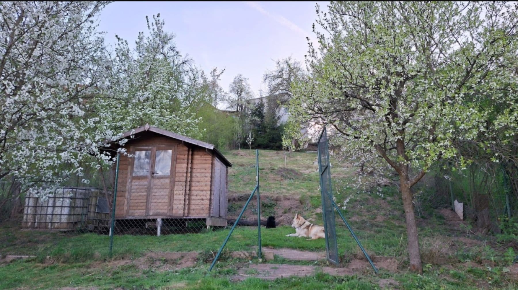 Predaj pozemku 1.000 m², Všechovice, Jihomoravský kraj Predaj pozemku 1.000 m², Všechovice, Jihomoravský kraj