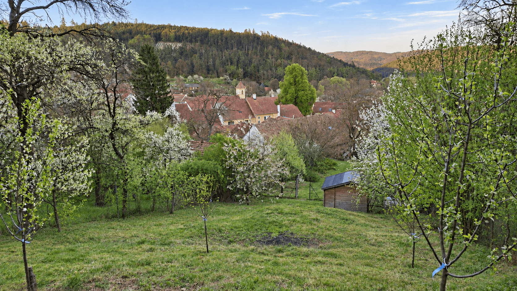 Predaj pozemku 1.000 m², Všechovice, Jihomoravský kraj Predaj pozemku 1.000 m², Všechovice, Jihomoravský kraj