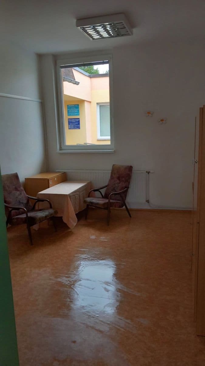 Prenájom nebytového priestoru 95 m², Aloisina výšina, Liberec, Liberecký kraj Prenájom nebytového priestoru 95 m², Aloisina výšina, Liberec, Liberecký kraj