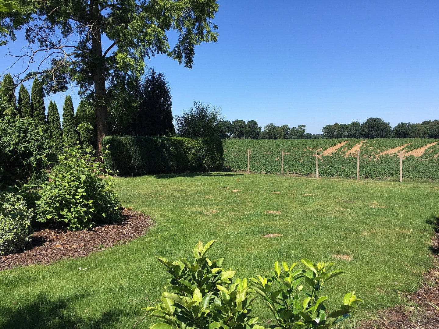 Predaj domu 90 m², pozemok 1.250 m², Riedkamp 23, Neetze, Dolné Sasko Predaj domu 90 m², pozemok 1.250 m², Riedkamp 23, Neetze, Dolné Sasko
