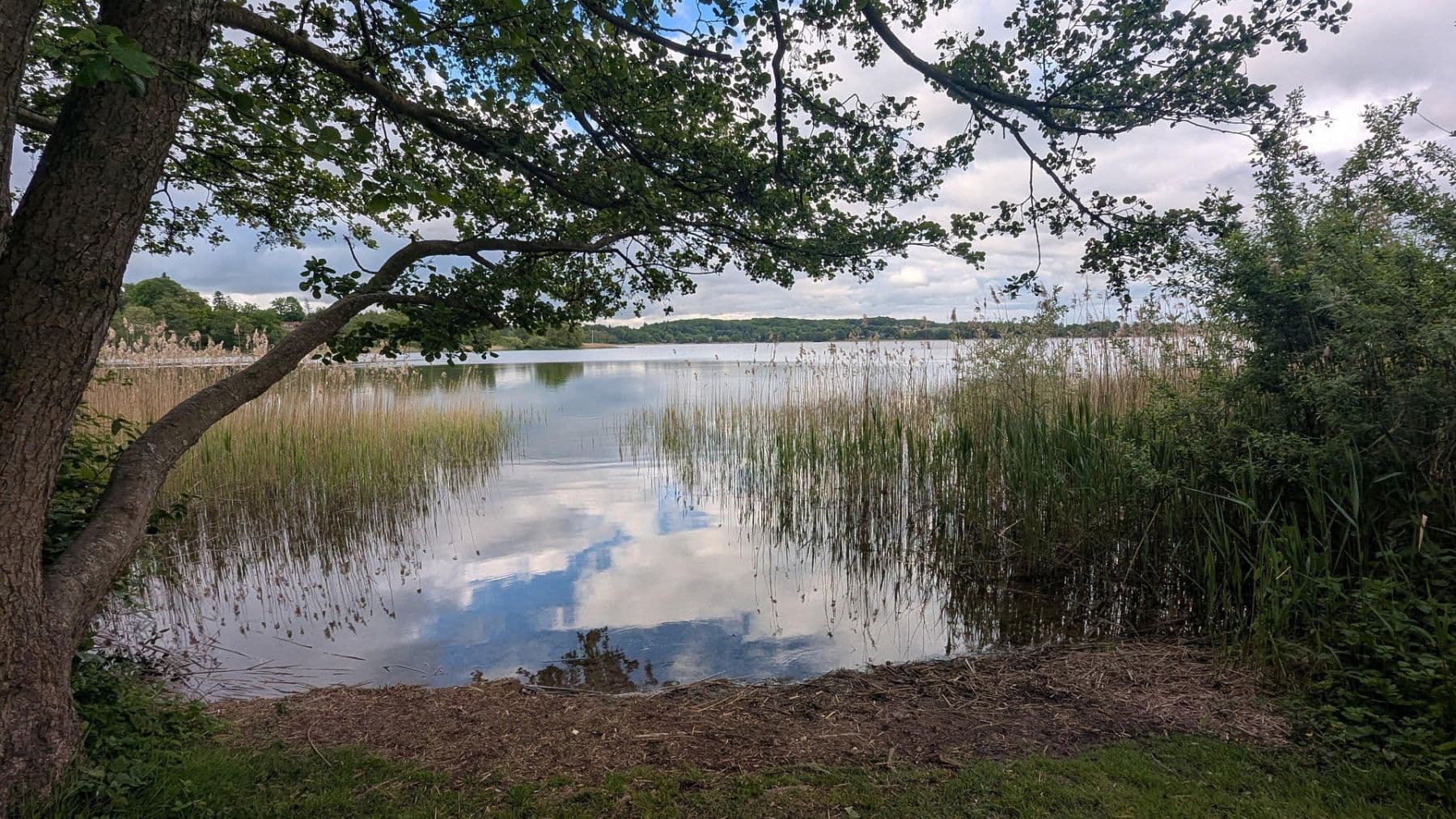 Predaj bytu 3-izbový 52 m², Scharbeutzer Str. 16, Pönitz am See, Šlezvicko-Holštajnsko Predaj bytu 3-izbový 52 m², Scharbeutzer Str. 16, Pönitz am See, Šlezvicko-Holštajnsko