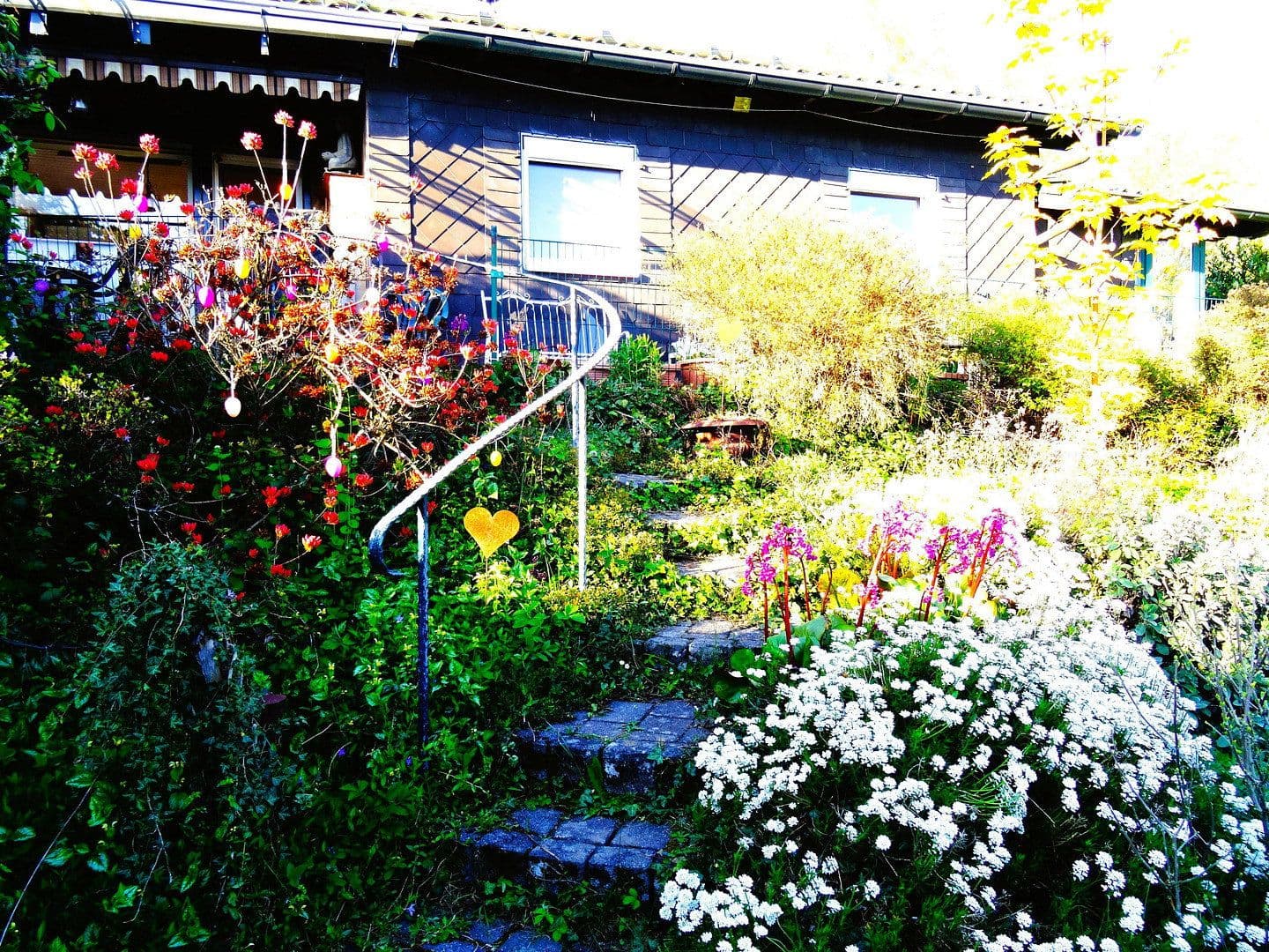 Predaj domu 76 m², pozemok 1.458 m², Windeck, Severné Porýnie - Westfálsko Predaj domu 76 m², pozemok 1.458 m², Windeck, Severné Porýnie - Westfálsko