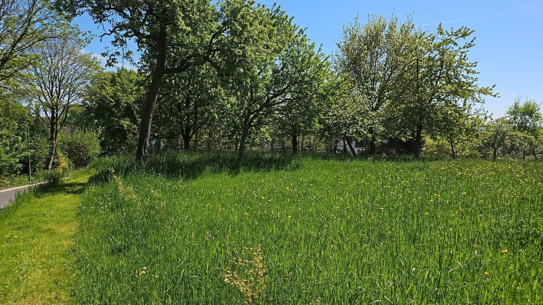 Predaj pozemku 726 m², Hauptstraße 26, Busenhausen, Porýnie-Falcko Predaj pozemku 726 m², Hauptstraße 26, Busenhausen, Porýnie-Falcko