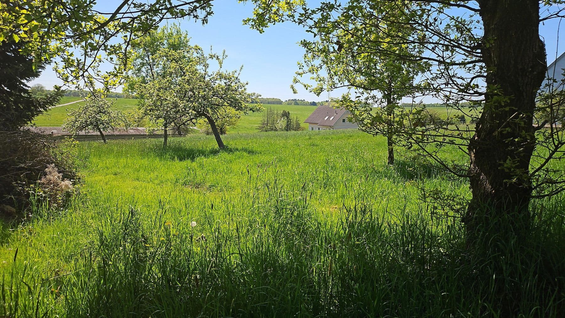 Predaj pozemku 726 m², Hauptstraße 26, Busenhausen, Porýnie-Falcko Predaj pozemku 726 m², Hauptstraße 26, Busenhausen, Porýnie-Falcko