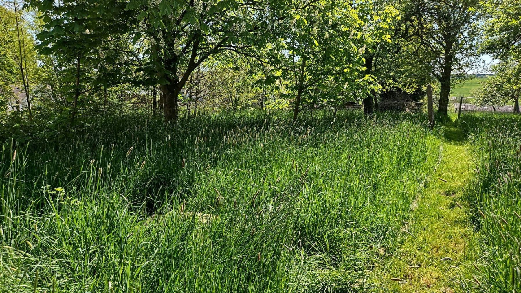 Predaj pozemku 726 m², Hauptstraße 26, Busenhausen, Porýnie-Falcko Predaj pozemku 726 m², Hauptstraße 26, Busenhausen, Porýnie-Falcko