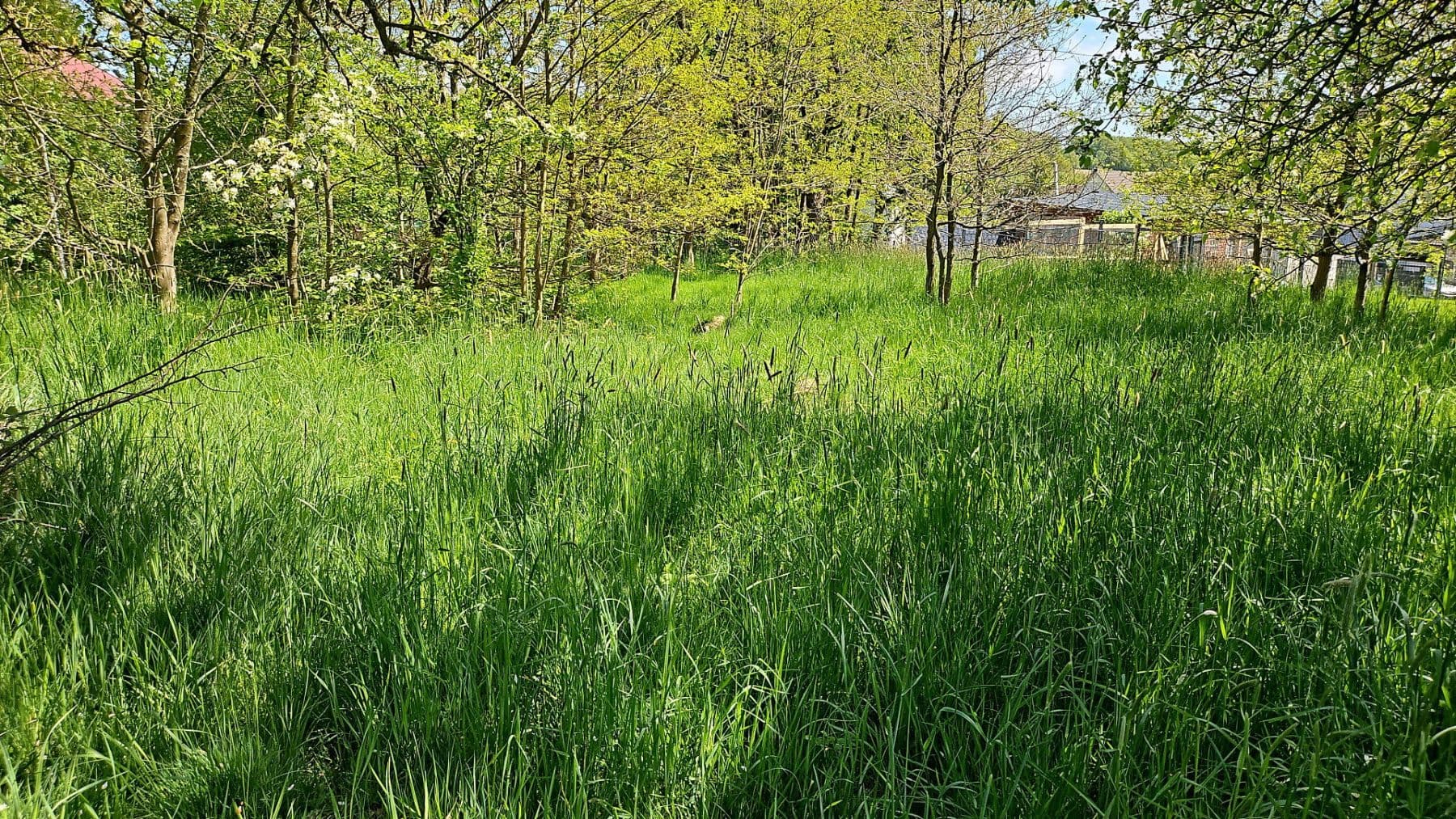 Predaj pozemku 726 m², Hauptstraße 26, Busenhausen, Porýnie-Falcko Predaj pozemku 726 m², Hauptstraße 26, Busenhausen, Porýnie-Falcko