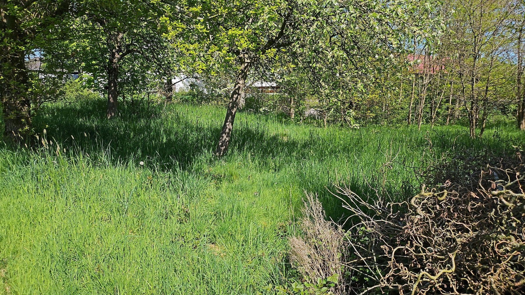 Predaj pozemku 726 m², Hauptstraße 26, Busenhausen, Porýnie-Falcko Predaj pozemku 726 m², Hauptstraße 26, Busenhausen, Porýnie-Falcko