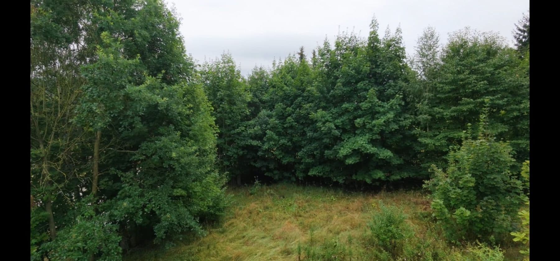 Predaj pozemku 846 m², Citice, Karlovarský kraj Predaj pozemku 846 m², Citice, Karlovarský kraj