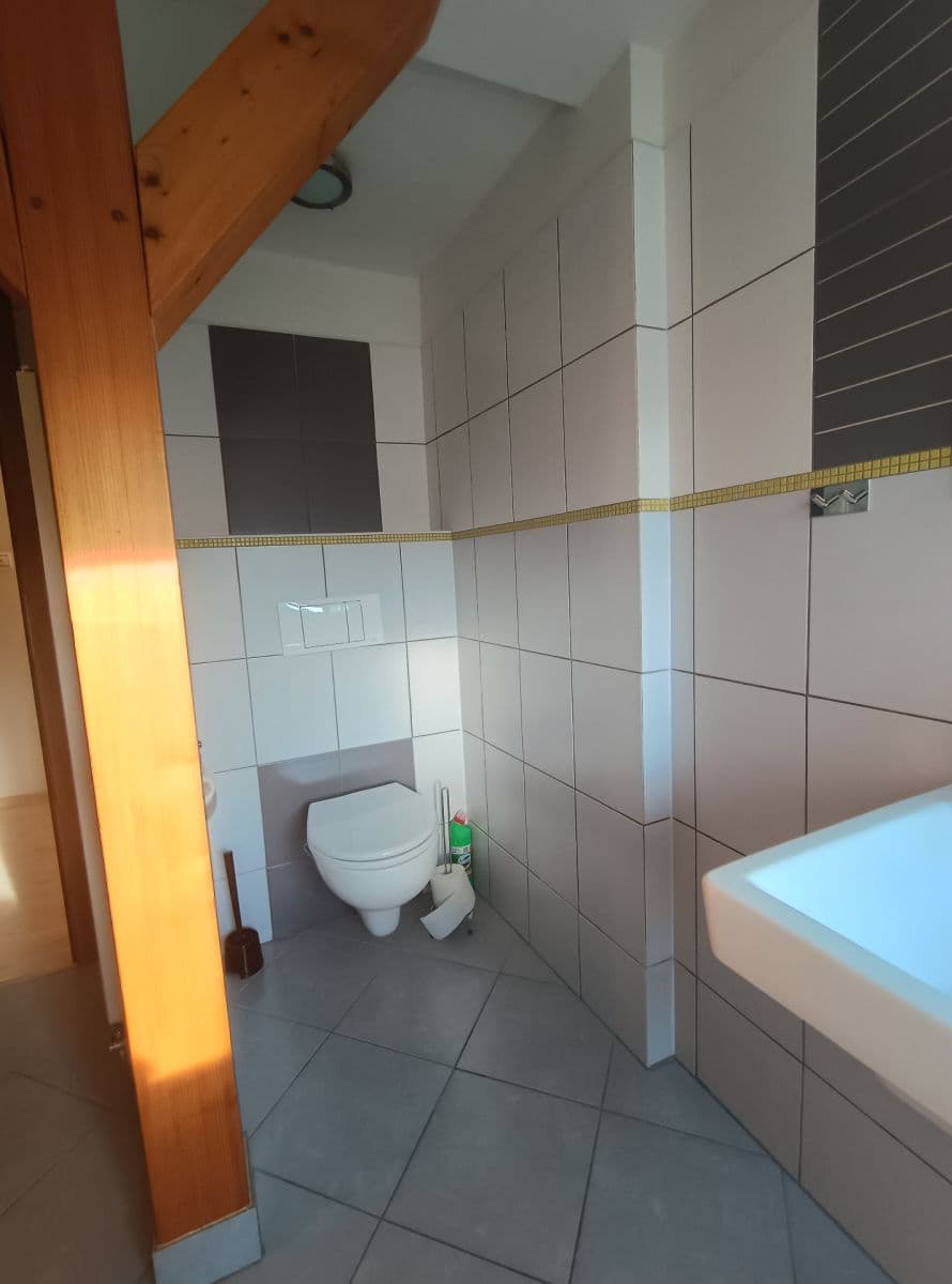 Prenájom bytu 3-izbový 100 m², 8. března, Liberec, Liberecký kraj Prenájom bytu 3-izbový 100 m², 8. března, Liberec, Liberecký kraj