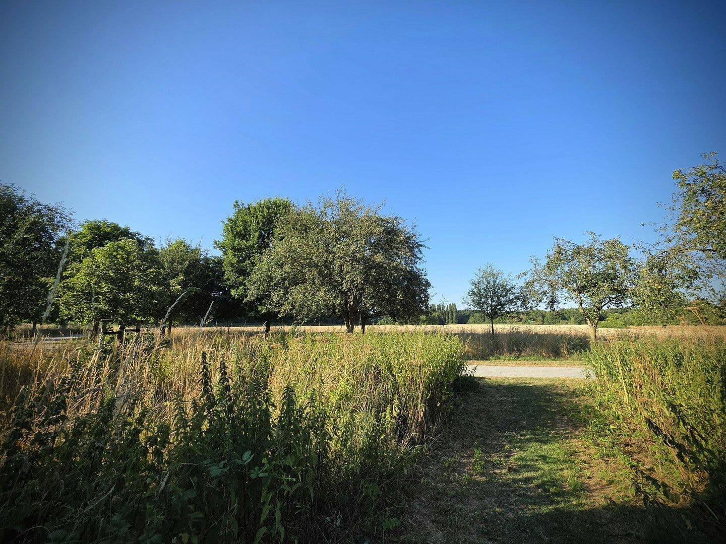 Predaj domu 179 m², pozemok 450 m², Am Schleitershof 65, Krefeld, Severné Porýnie - Westfálsko Predaj domu 179 m², pozemok 450 m², Am Schleitershof 65, Krefeld, Severné Porýnie - Westfálsko