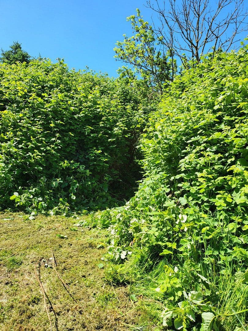 Predaj domu 300 m², pozemok 3.087 m², Wiek, Meklenbursko-Predpomoransko Predaj domu 300 m², pozemok 3.087 m², Wiek, Meklenbursko-Predpomoransko