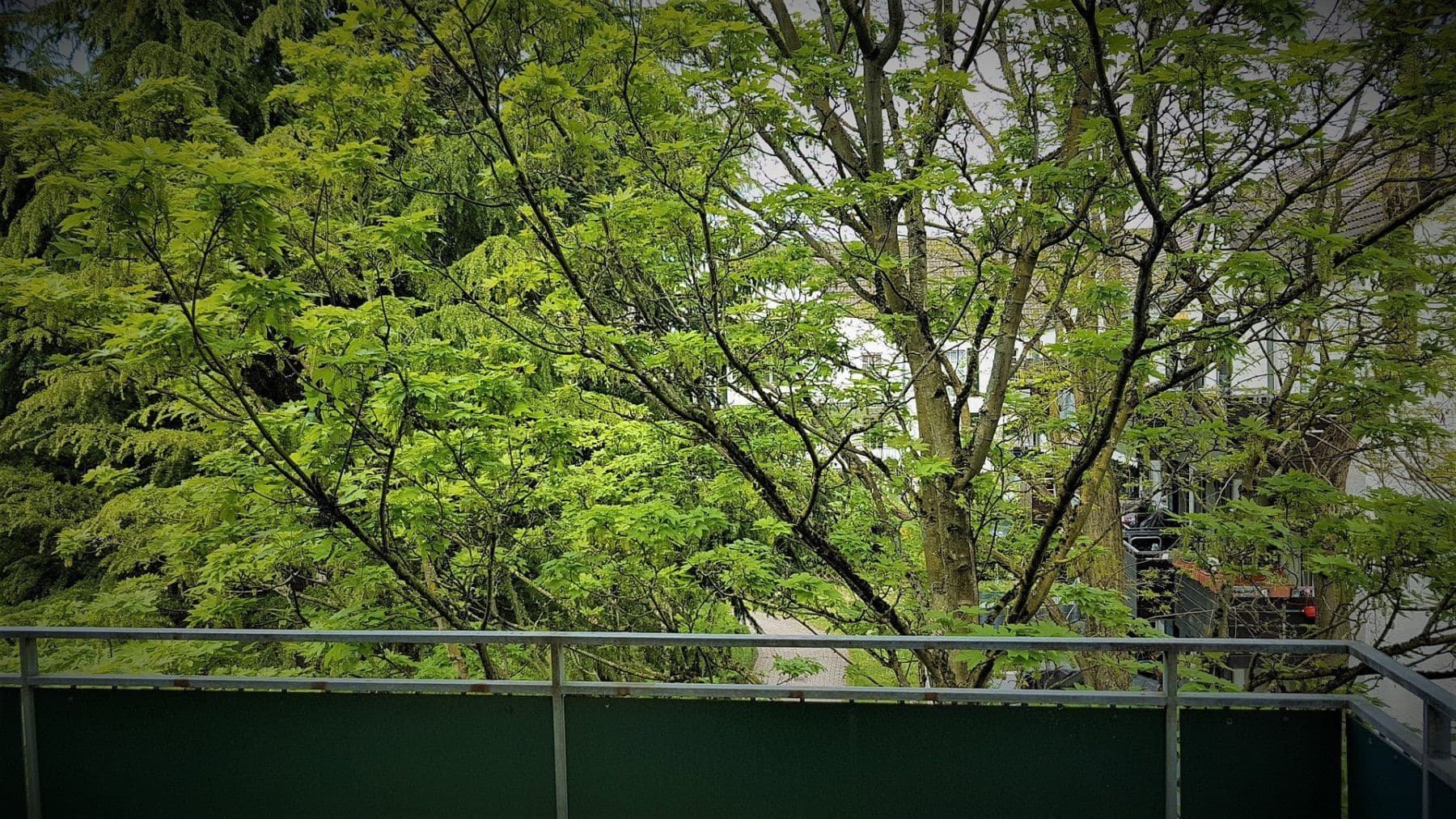 Prenájom bytu 3-izbový 70 m², In der Donk 34, Düsseldorf, Severné Porýnie - Westfálsko Prenájom bytu 3-izbový 70 m², In der Donk 34, Düsseldorf, Severné Porýnie - Westfálsko