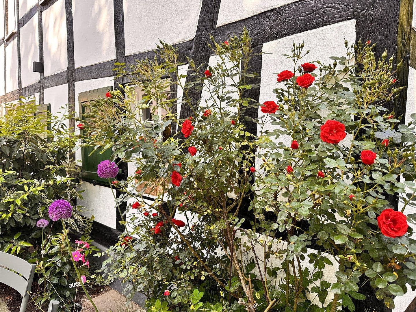 Predaj domu 375 m², pozemok 388 m², Bergisch Gladbach, Severné Porýnie - Westfálsko Predaj domu 375 m², pozemok 388 m², Bergisch Gladbach, Severné Porýnie - Westfálsko