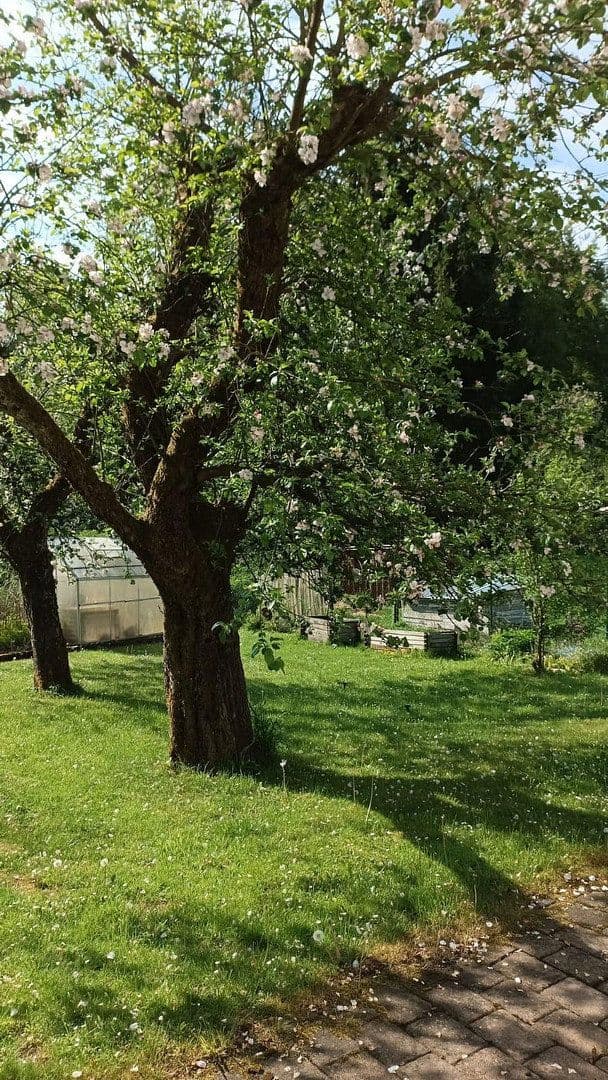 Predaj domu 240 m², pozemok 597 m², Reichshof, Severné Porýnie - Westfálsko Predaj domu 240 m², pozemok 597 m², Reichshof, Severné Porýnie - Westfálsko