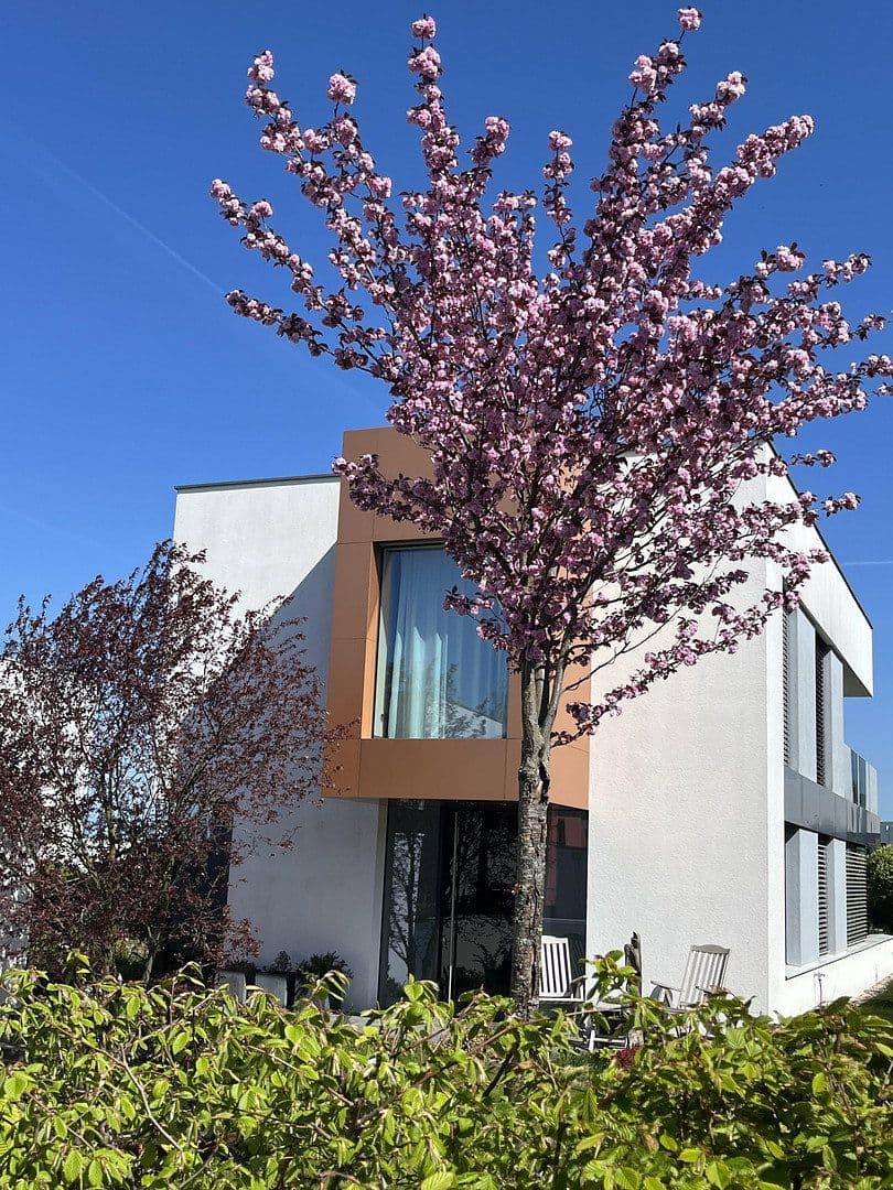 Predaj domu 173 m², pozemok 610 m², Zwenkau, Sasko Predaj domu 173 m², pozemok 610 m², Zwenkau, Sasko