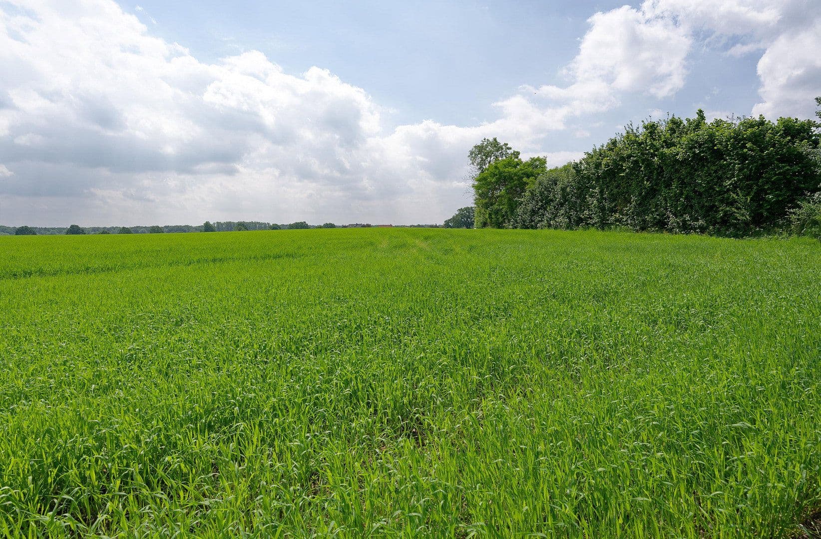 Predaj domu 445 m², pozemok 1.775 m², Wentorf (Amt Sandesneben), Šlezvicko-Holštajnsko Predaj domu 445 m², pozemok 1.775 m², Wentorf (Amt Sandesneben), Šlezvicko-Holštajnsko