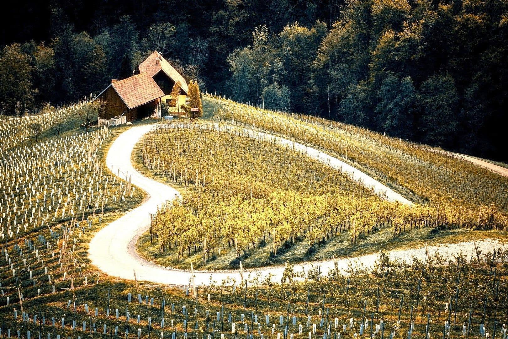 Prenájom bytu 3-izbový 100 m², Oberkirch, Bádensko-Wurttembersko Prenájom bytu 3-izbový 100 m², Oberkirch, Bádensko-Wurttembersko