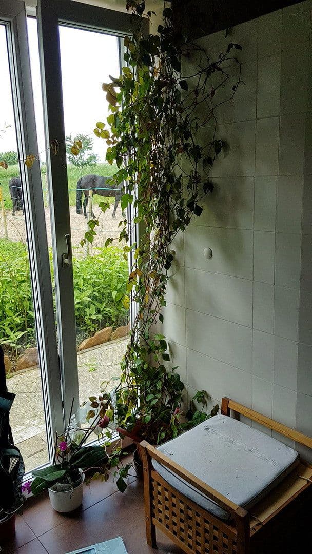 Predaj domu 160 m², pozemok 1.877 m², Höttingen, Bavorsko Predaj domu 160 m², pozemok 1.877 m², Höttingen, Bavorsko