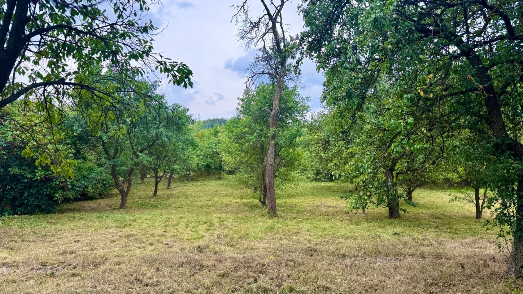 Predaj pozemku 853 m², Za Krétou, Tišnov, Jihomoravský kraj Predaj pozemku 853 m², Za Krétou, Tišnov, Jihomoravský kraj