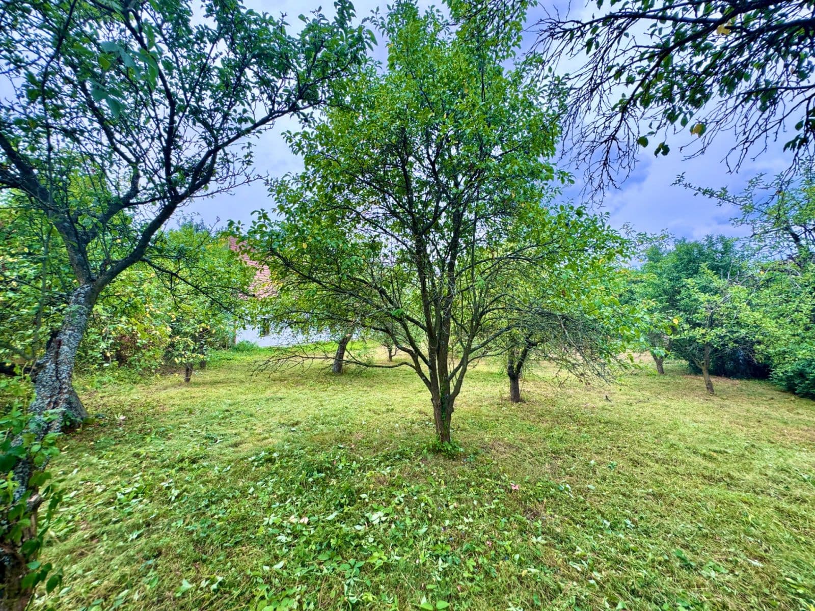 Predaj pozemku 853 m², Za Krétou, Tišnov, Jihomoravský kraj Predaj pozemku 853 m², Za Krétou, Tišnov, Jihomoravský kraj