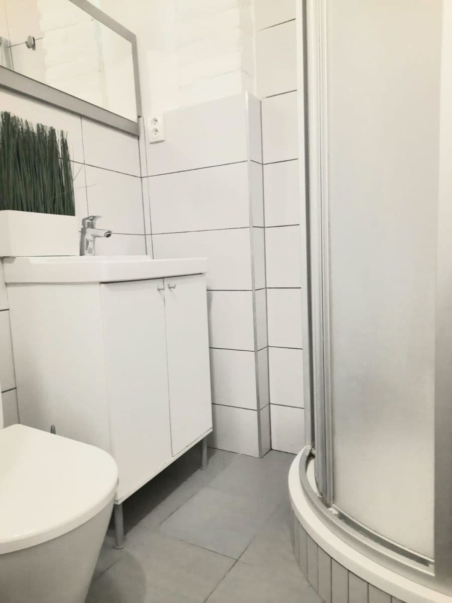 Prenájom bytu 1-izbový 16 m², Vlkova, Praha, Praha Prenájom bytu 1-izbový 16 m², Vlkova, Praha, Praha