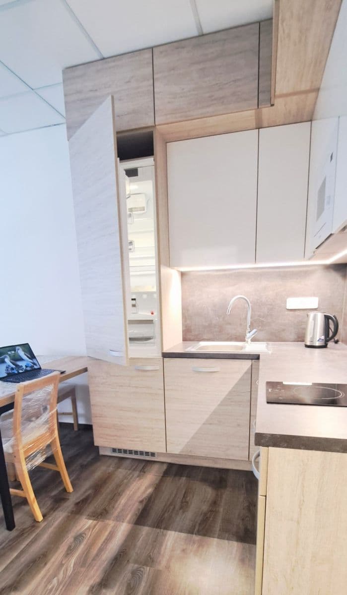 Prenájom bytu 2-izbový 46 m², Příkop, Brno, Jihomoravský kraj Prenájom bytu 2-izbový 46 m², Příkop, Brno, Jihomoravský kraj