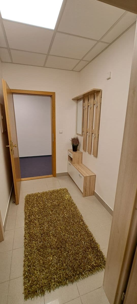 Prenájom bytu 2-izbový 46 m², Příkop, Brno, Jihomoravský kraj Prenájom bytu 2-izbový 46 m², Příkop, Brno, Jihomoravský kraj