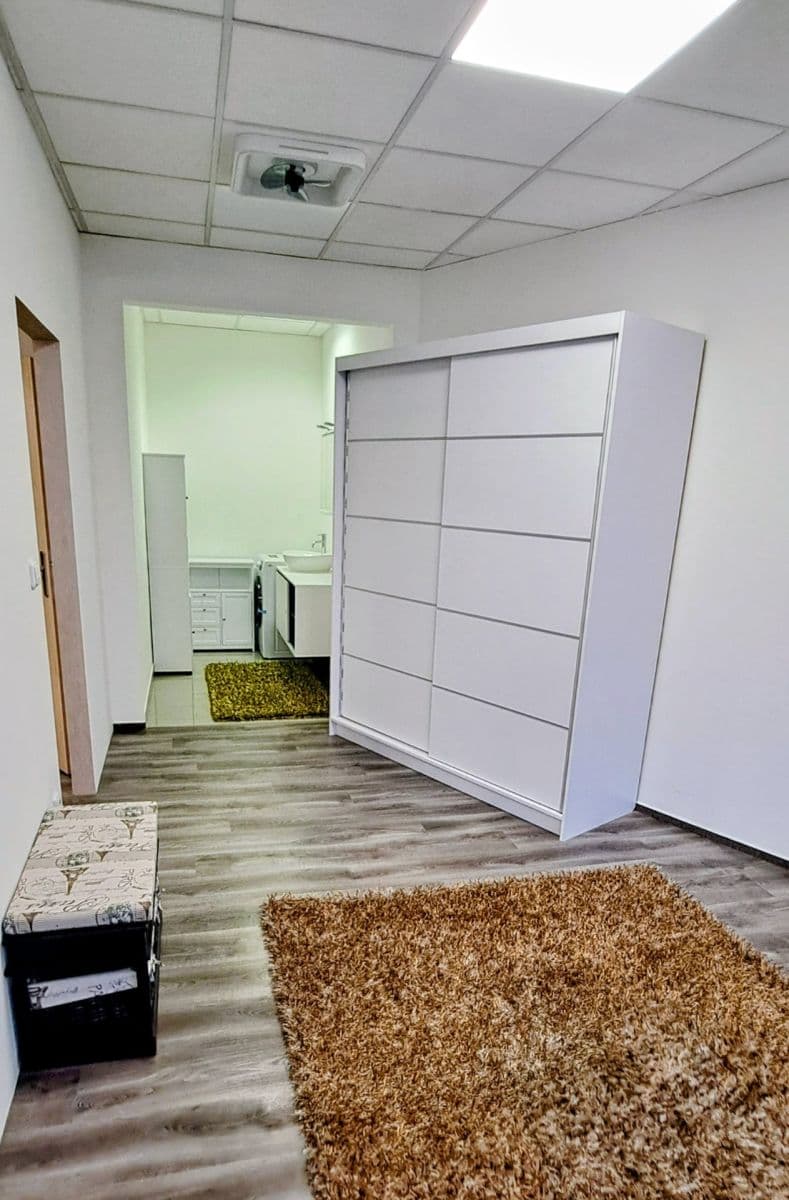 Prenájom bytu 2-izbový 46 m², Příkop, Brno, Jihomoravský kraj Prenájom bytu 2-izbový 46 m², Příkop, Brno, Jihomoravský kraj