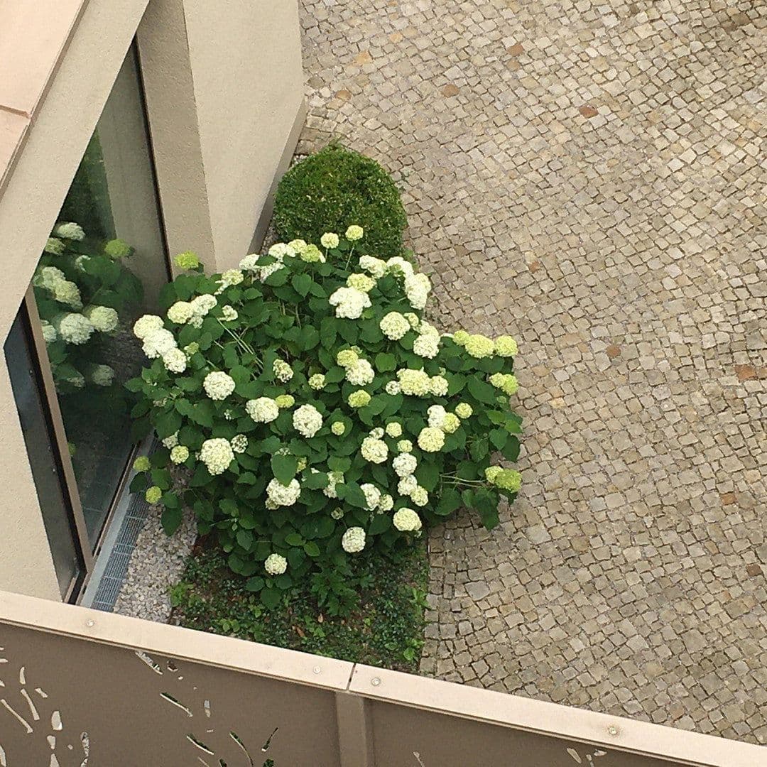 Prenájom bytu 3-izbový 78 m², München, Bavorsko Prenájom bytu 3-izbový 78 m², München, Bavorsko