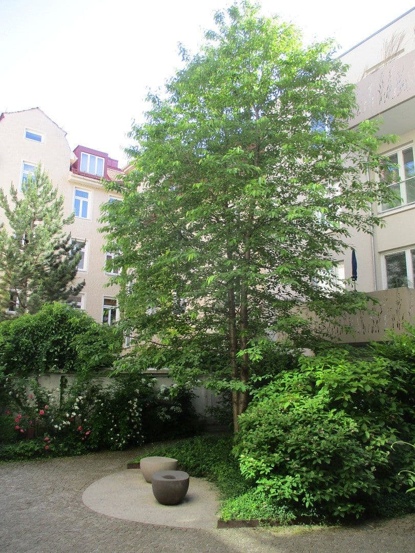 Prenájom bytu 3-izbový 78 m², München, Bavorsko Prenájom bytu 3-izbový 78 m², München, Bavorsko
