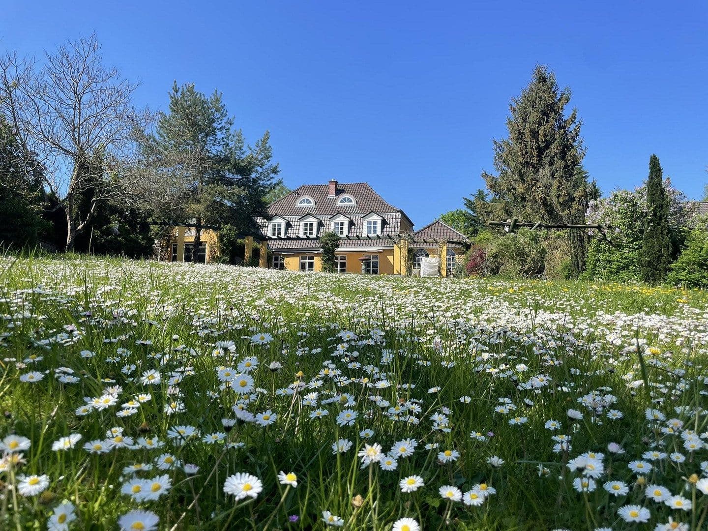 Predaj domu 280 m², pozemok 3.500 m², Kiel, Šlezvicko-Holštajnsko Predaj domu 280 m², pozemok 3.500 m², Kiel, Šlezvicko-Holštajnsko