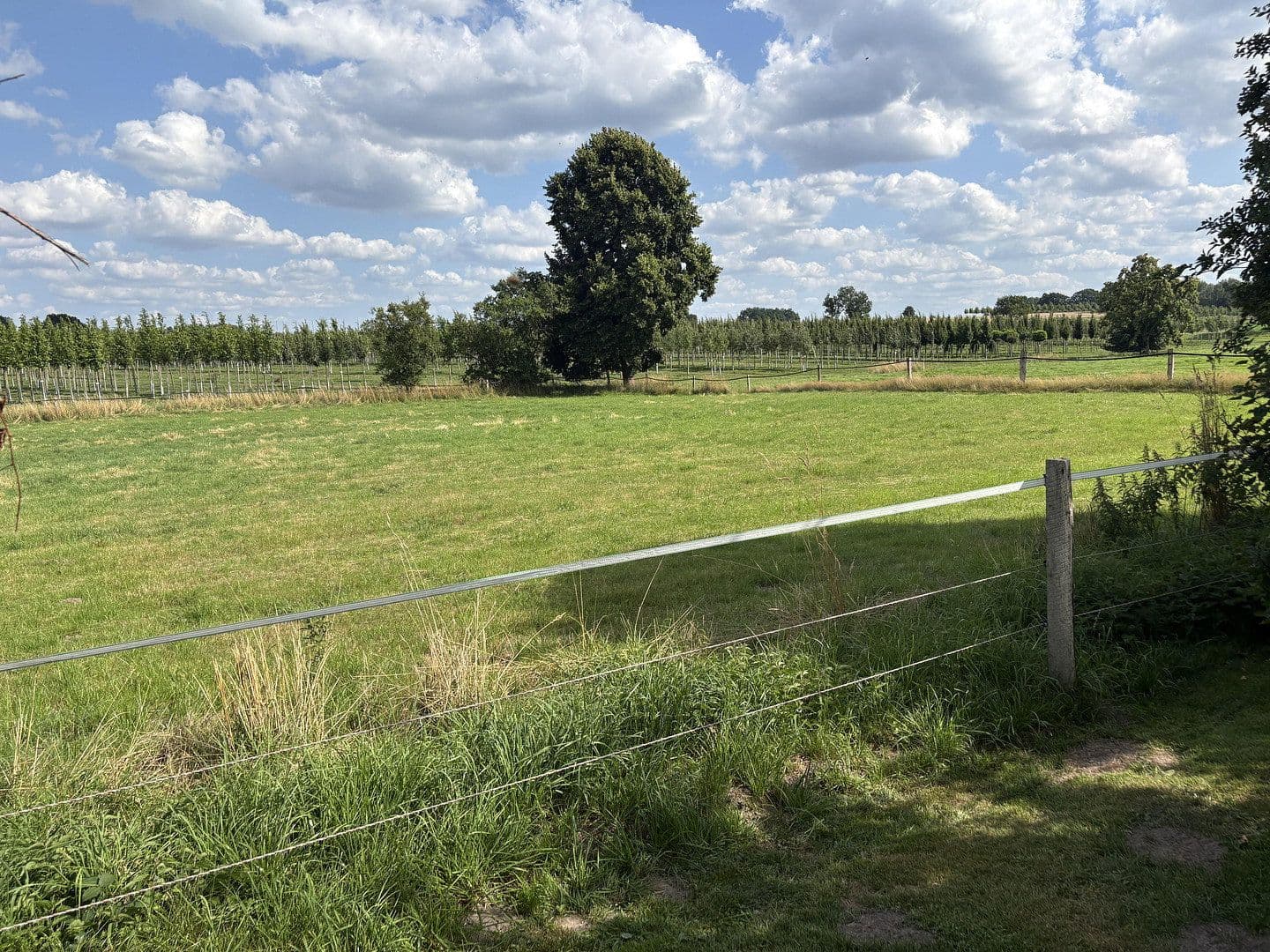 Predaj domu 157 m², pozemok 1.335 m², Mattenstieg 6, Seevetal, Dolné Sasko Predaj domu 157 m², pozemok 1.335 m², Mattenstieg 6, Seevetal, Dolné Sasko
