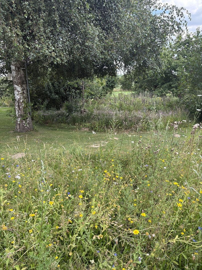 Predaj domu 157 m², pozemok 1.335 m², Mattenstieg 6, Seevetal, Dolné Sasko Predaj domu 157 m², pozemok 1.335 m², Mattenstieg 6, Seevetal, Dolné Sasko