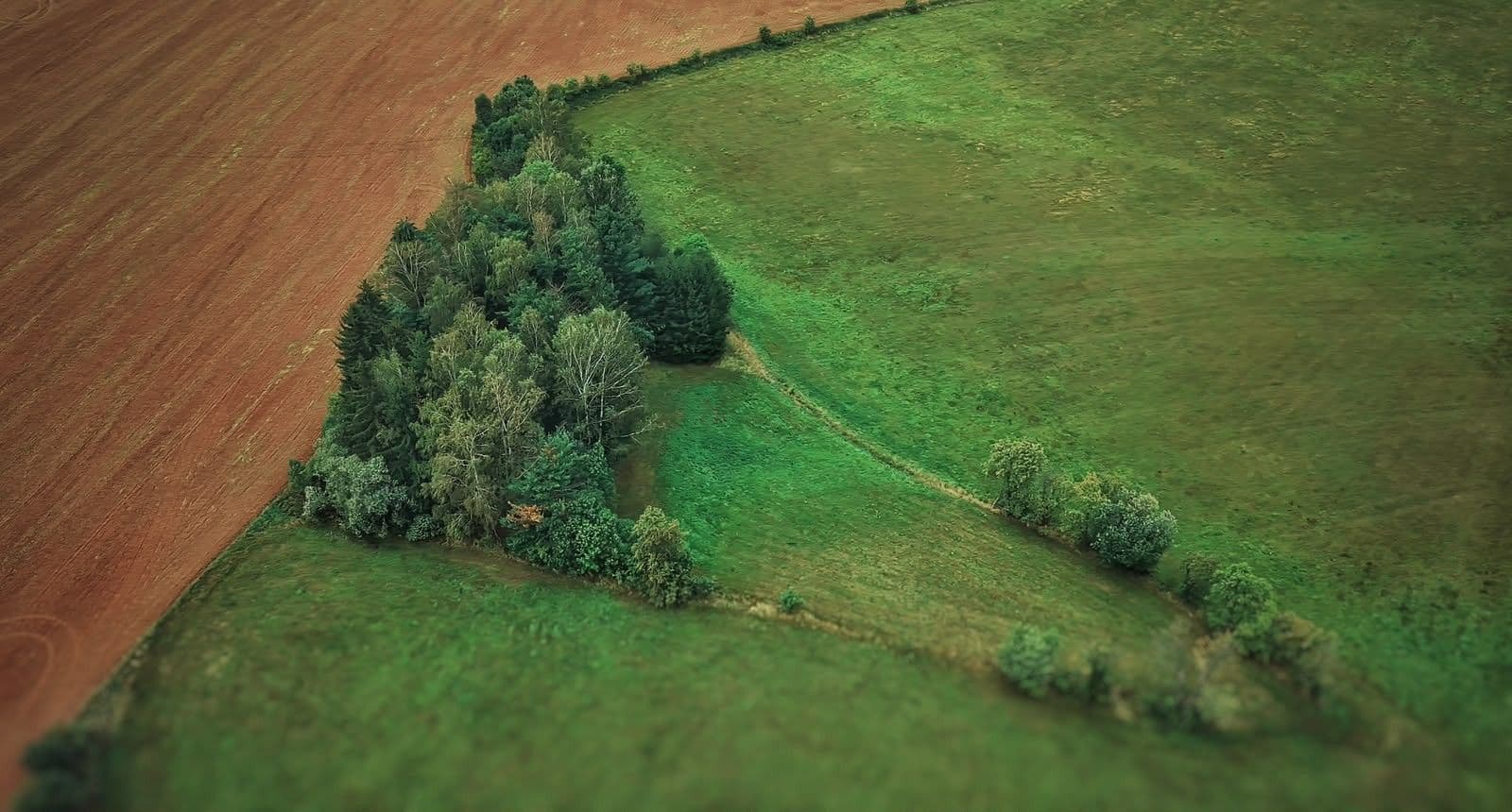 Predaj domu 403 m², pozemok 6.500 m², K Břízkám, Trutnov, Královéhradecký kraj Predaj domu 403 m², pozemok 6.500 m², K Břízkám, Trutnov, Královéhradecký kraj