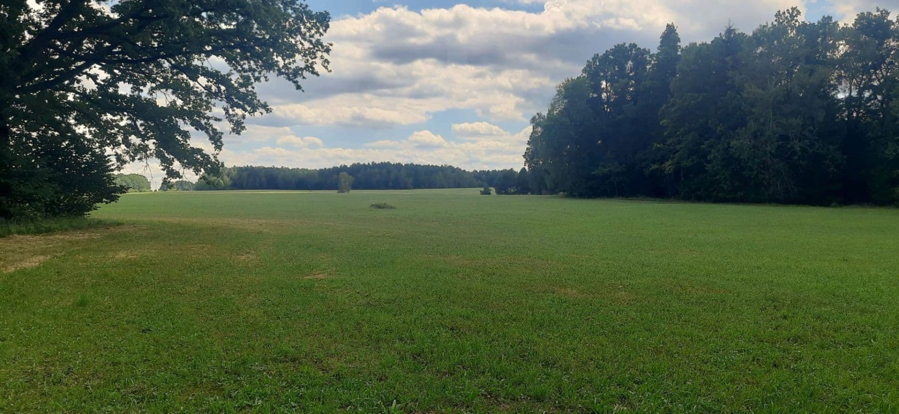 Predaj pozemku 2.888 m², Jílovice, Jihočeský kraj Predaj pozemku 2.888 m², Jílovice, Jihočeský kraj