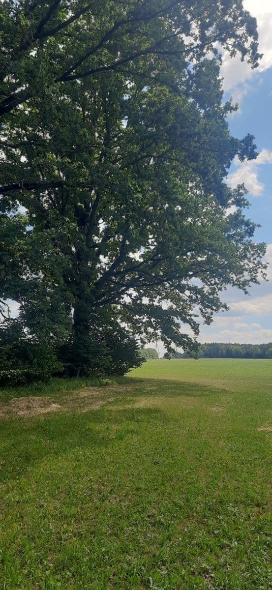 Predaj pozemku 2.888 m², Jílovice, Jihočeský kraj Predaj pozemku 2.888 m², Jílovice, Jihočeský kraj