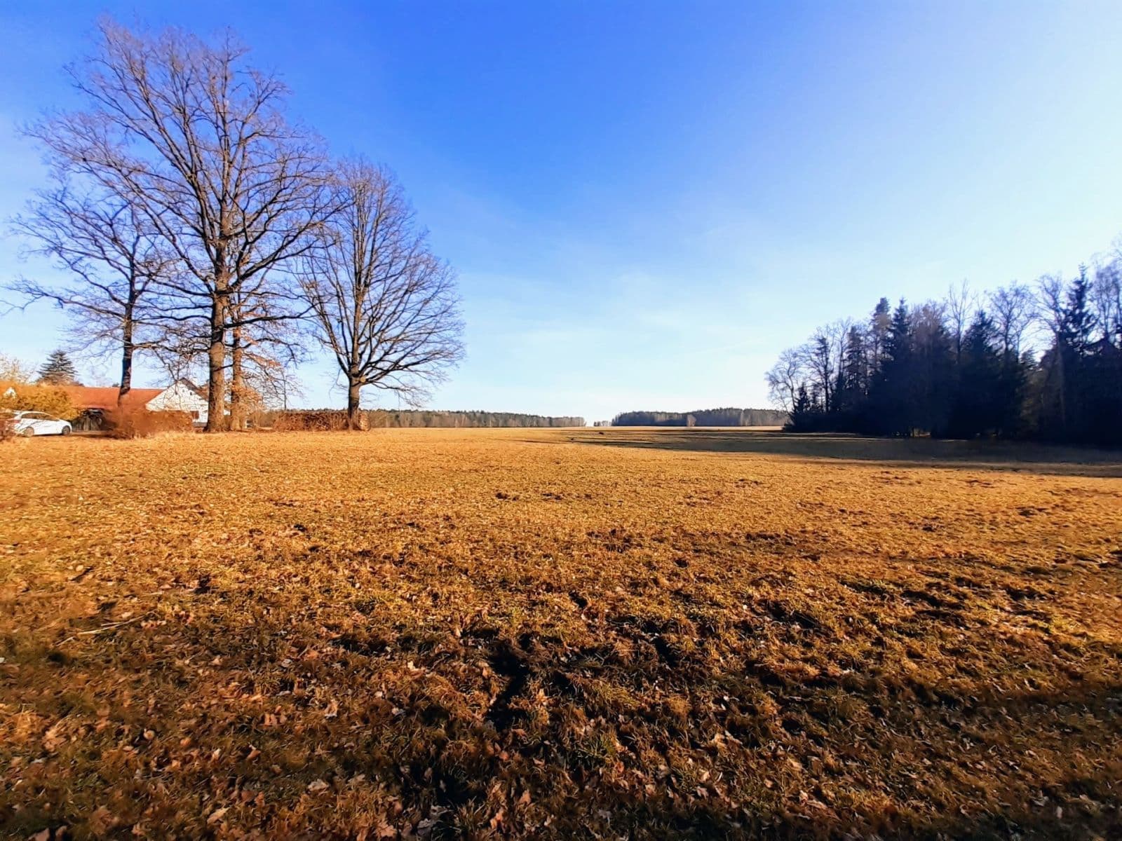 Predaj pozemku 2.888 m², Jílovice, Jihočeský kraj Predaj pozemku 2.888 m², Jílovice, Jihočeský kraj