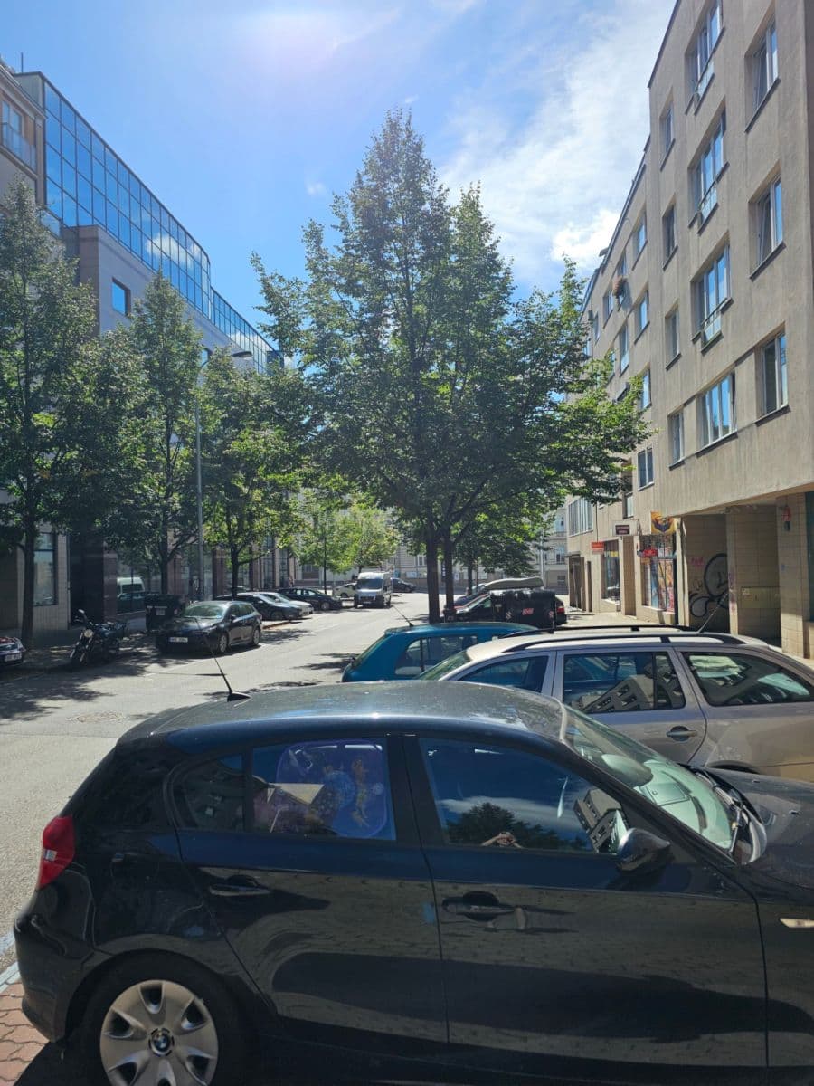 Prenájom garáže 13 m², Bratří Dohalských, Praha, Praha Prenájom garáže 13 m², Bratří Dohalských, Praha, Praha