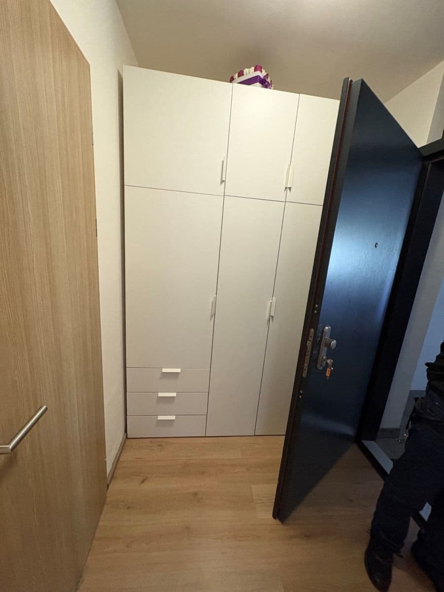 Prenájom bytu 1-izbový 37 m², Nad Úžlabinou, Praha, Praha Prenájom bytu 1-izbový 37 m², Nad Úžlabinou, Praha, Praha
