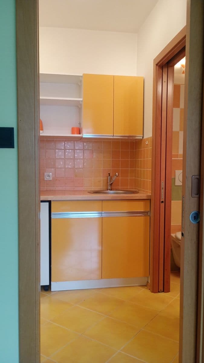 Prenájom bytu 1-izbový 27 m², Kubelíkova, Praha, Praha Prenájom bytu 1-izbový 27 m², Kubelíkova, Praha, Praha