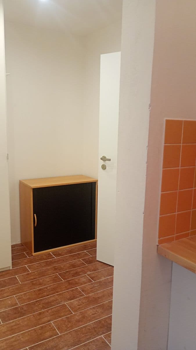 Prenájom bytu 1-izbový 27 m², Kubelíkova, Praha, Praha Prenájom bytu 1-izbový 27 m², Kubelíkova, Praha, Praha