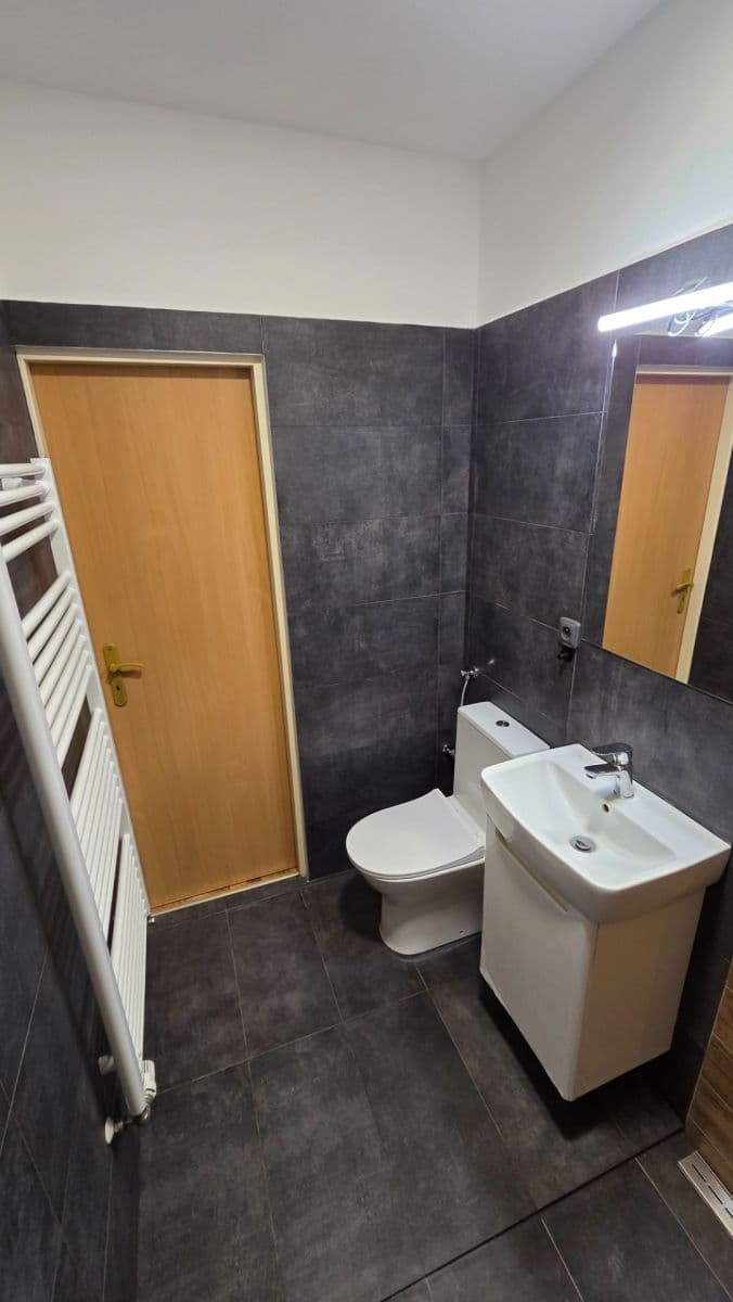 Prenájom bytu 1-izbový 30 m², Votroubkova, Brno, Jihomoravský kraj Prenájom bytu 1-izbový 30 m², Votroubkova, Brno, Jihomoravský kraj