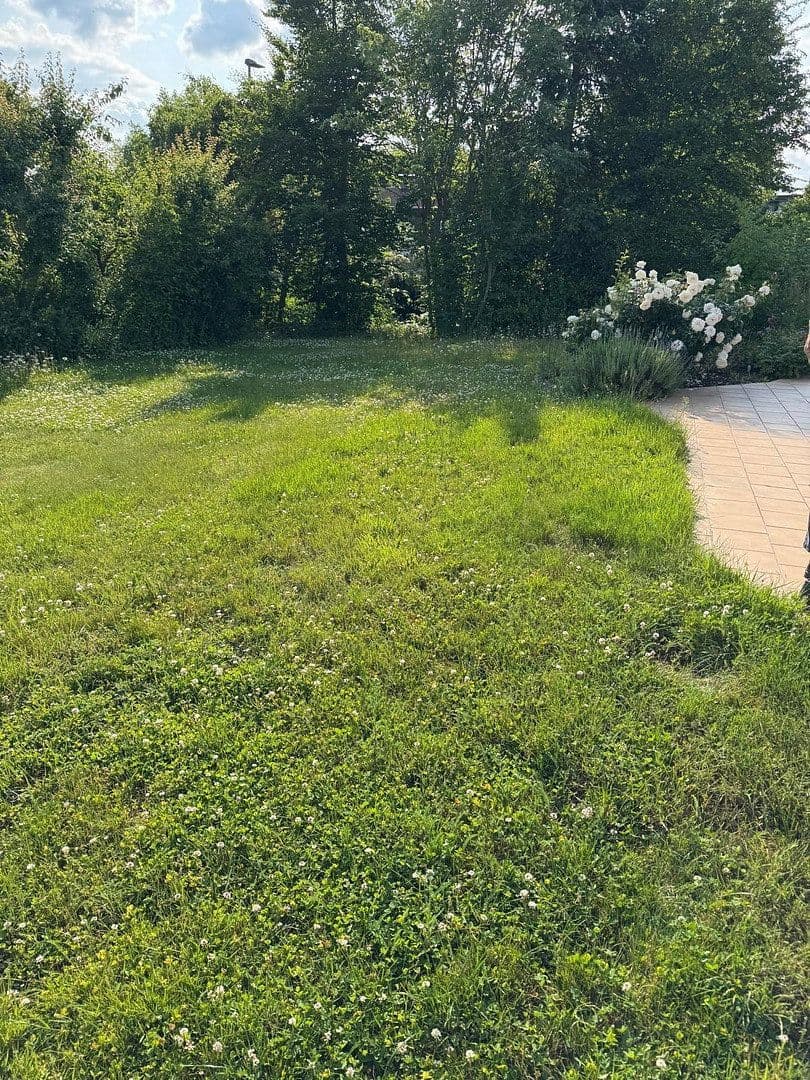 Predaj domu 190 m², pozemok 975 m², Simmern/Hunsrück, Porýnie-Falcko Predaj domu 190 m², pozemok 975 m², Simmern/Hunsrück, Porýnie-Falcko