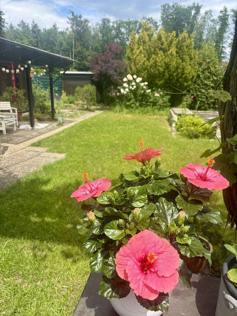 Predaj domu 228 m², pozemok 1.055 m², Wörth am Rhein, Porýnie-Falcko Predaj domu 228 m², pozemok 1.055 m², Wörth am Rhein, Porýnie-Falcko