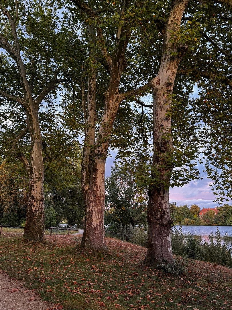 Predaj bytu 2-izbový 76 m², Am Neuen Garten 9a, Potsdam, Brandenbursko Predaj bytu 2-izbový 76 m², Am Neuen Garten 9a, Potsdam, Brandenbursko