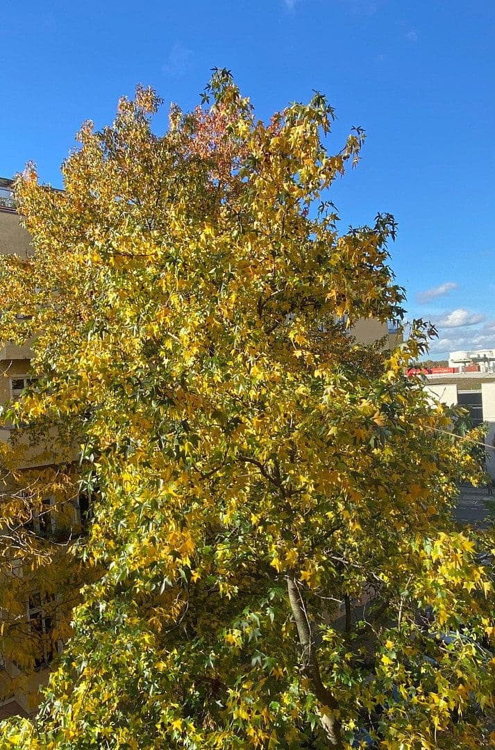 Prenájom bytu 3-izbový 118 m², Berlin, Berlín Prenájom bytu 3-izbový 118 m², Berlin, Berlín